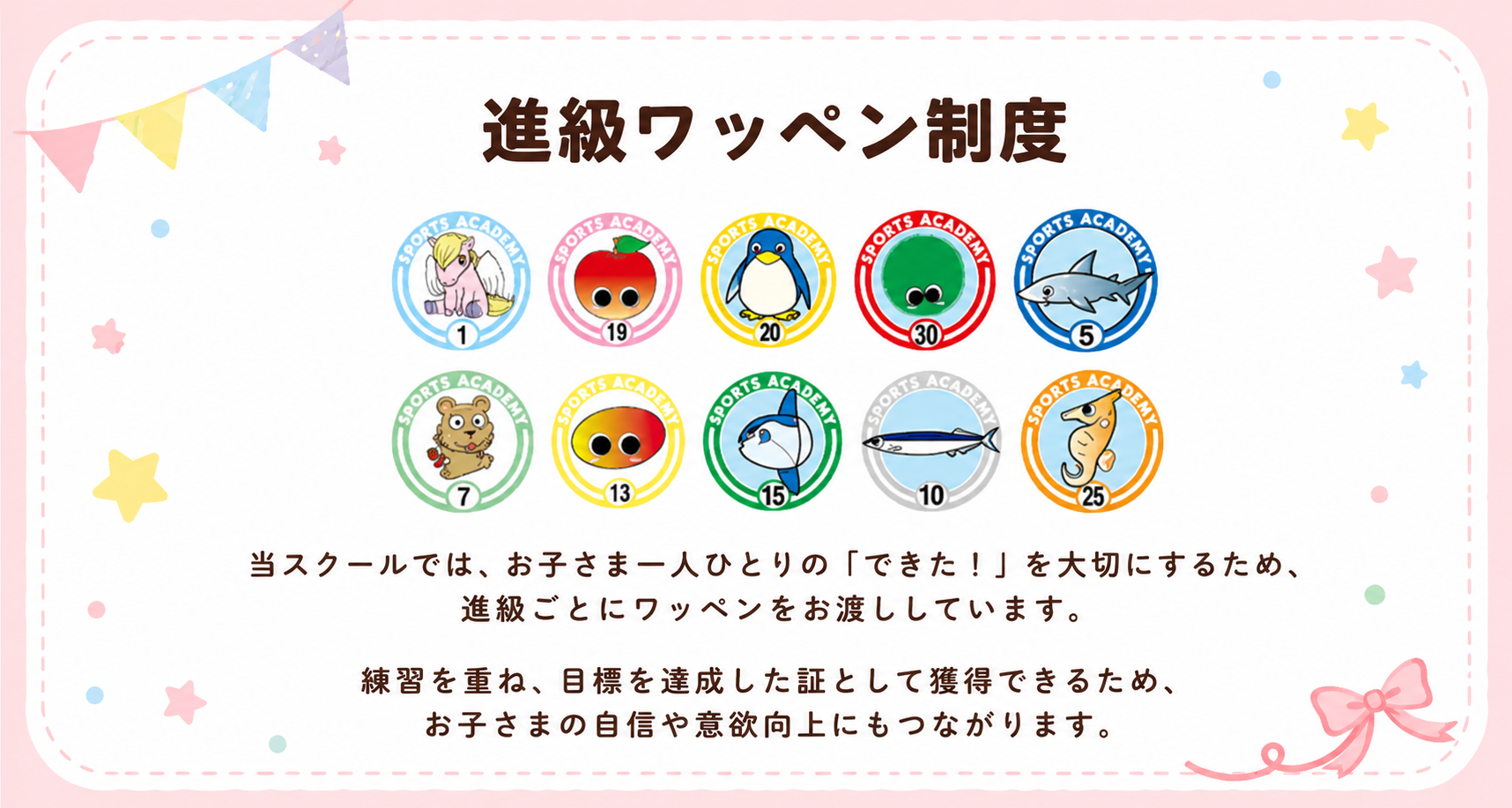 進級ワッペン制度