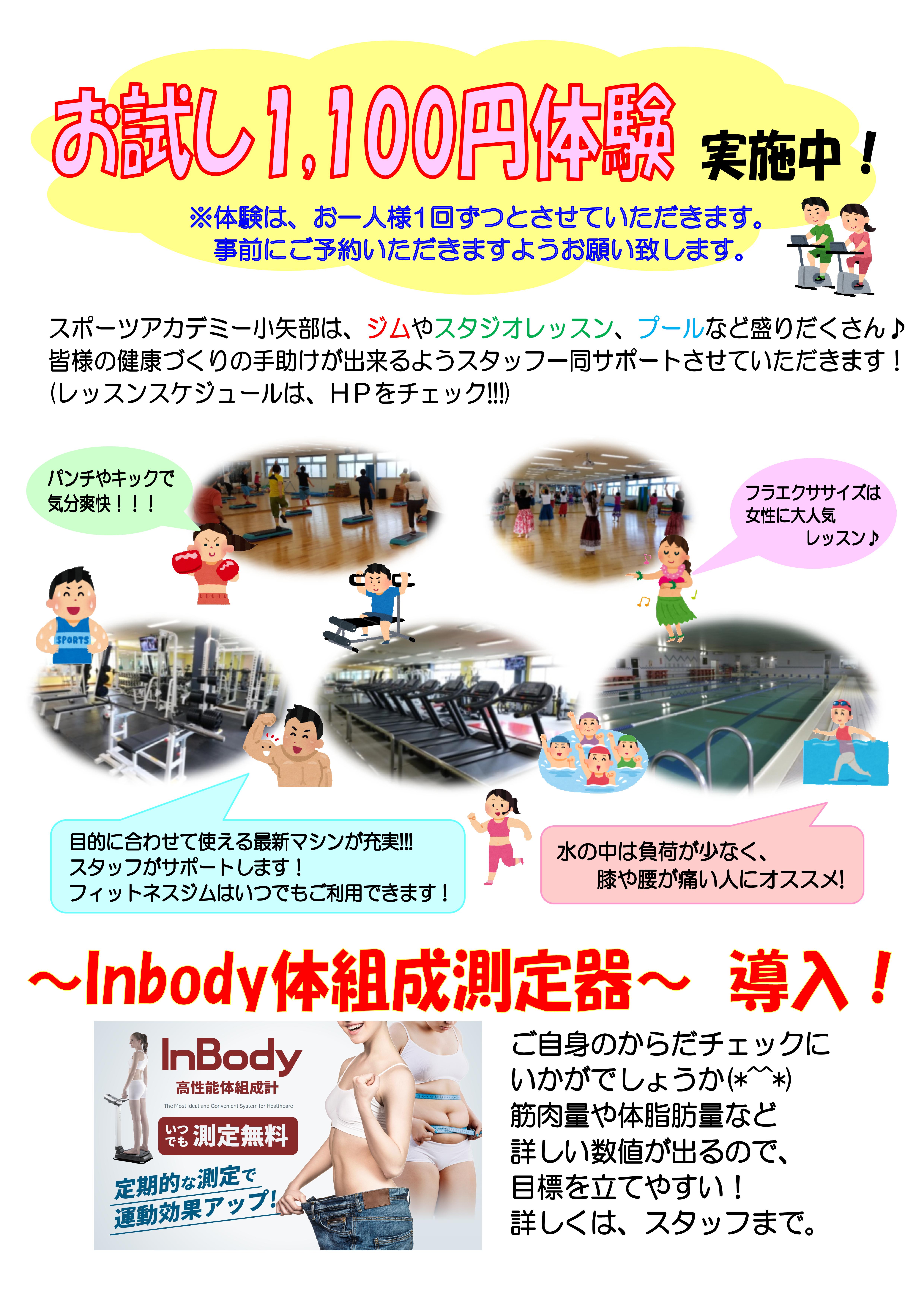 11月★お試し体験★実施中