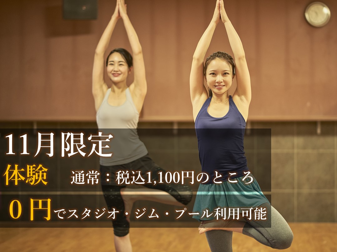 11月は大人の体験が…!